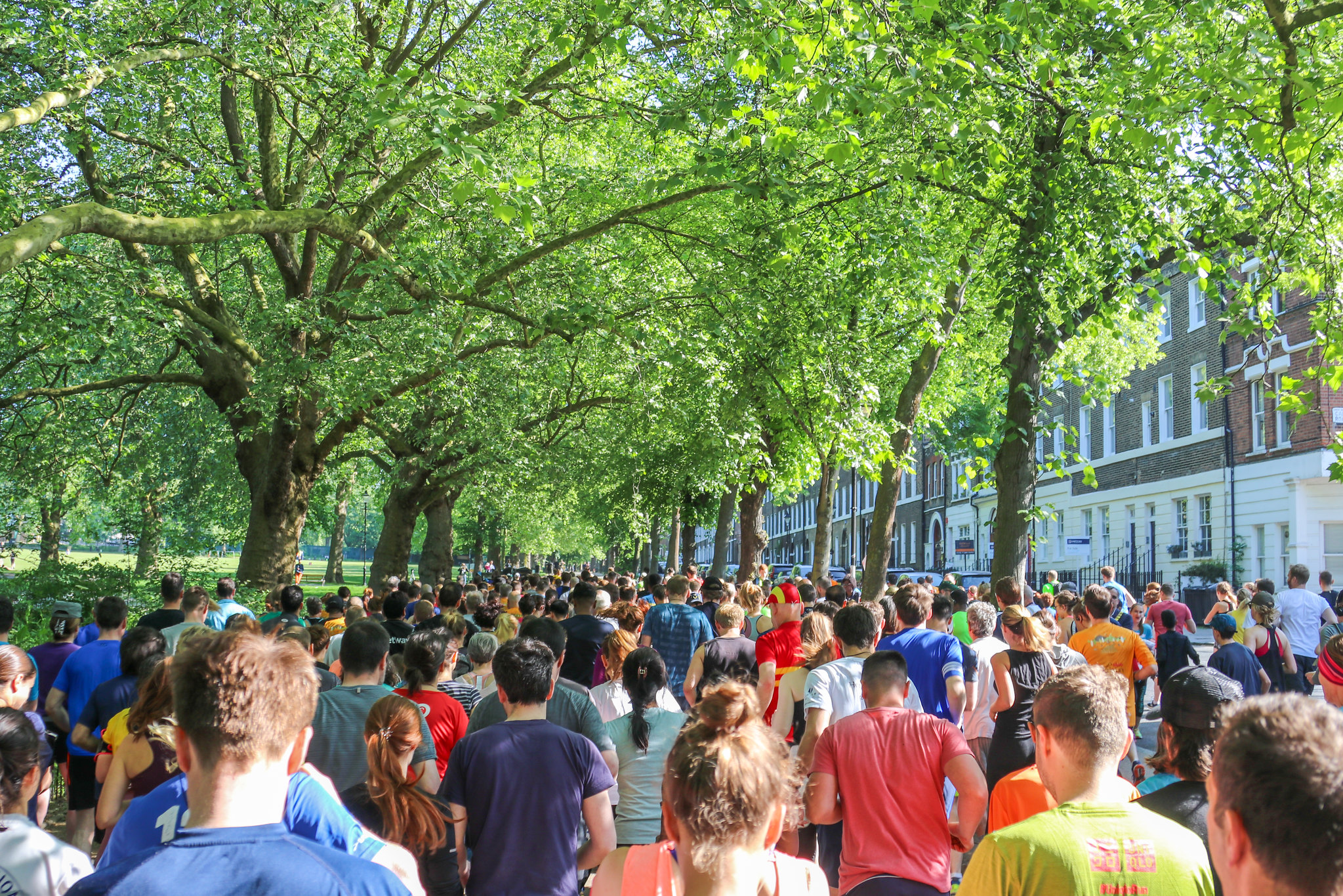 Highbury Fields Park Runner